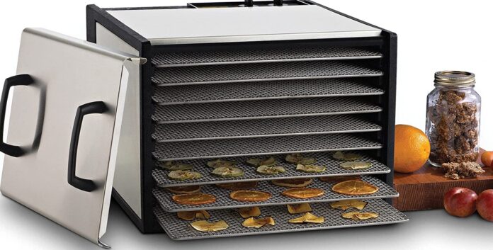 Best Food Dehydrator