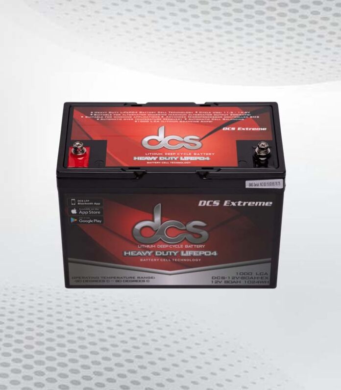 group 24 deep cycle battery