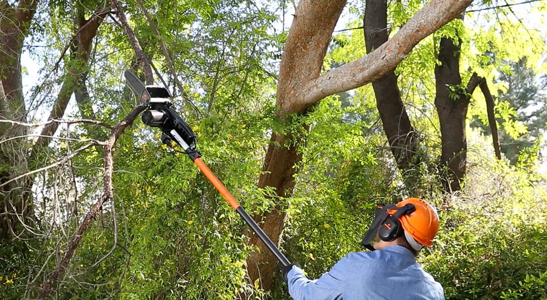 Pole Saws Brisbane